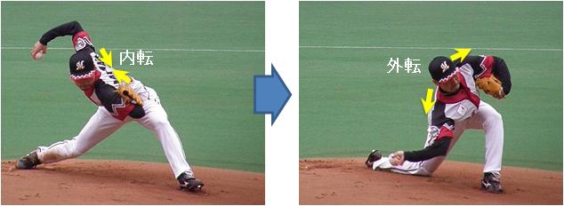 �n�ӏr��̓����t�H�[��